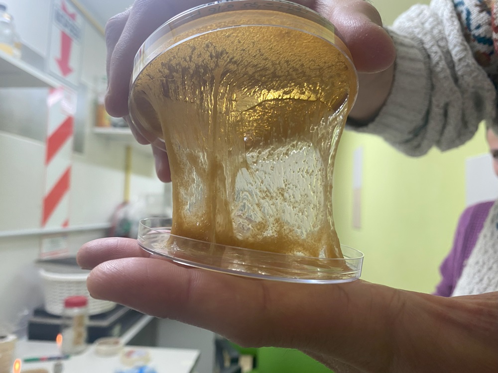 Bioceres creó una startup enfocada en el desarrollo biotecnológico para la extracción de litio